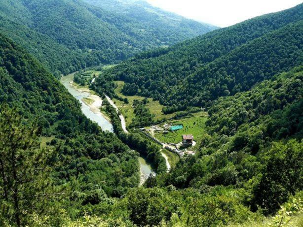 Mihai Viteazu  Casa Cu Flori旅馆 外观 照片